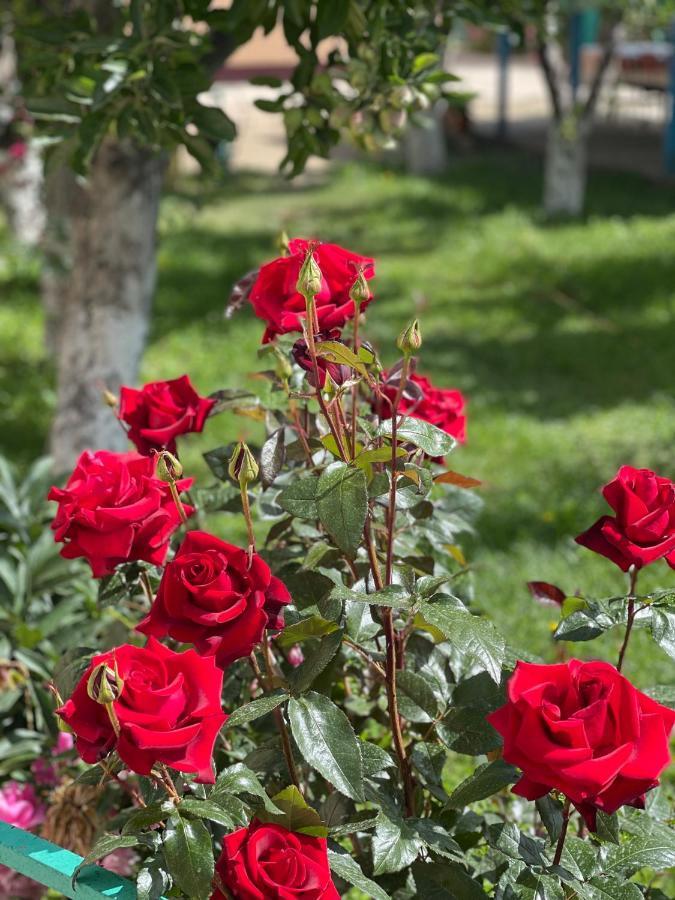 Guesthouse Gulmira Bokonbayevo 외부 사진